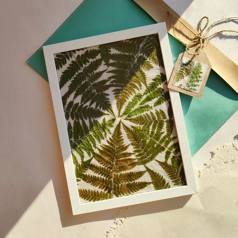 Pressed fern framed wall art decor Nature lover gift White frame