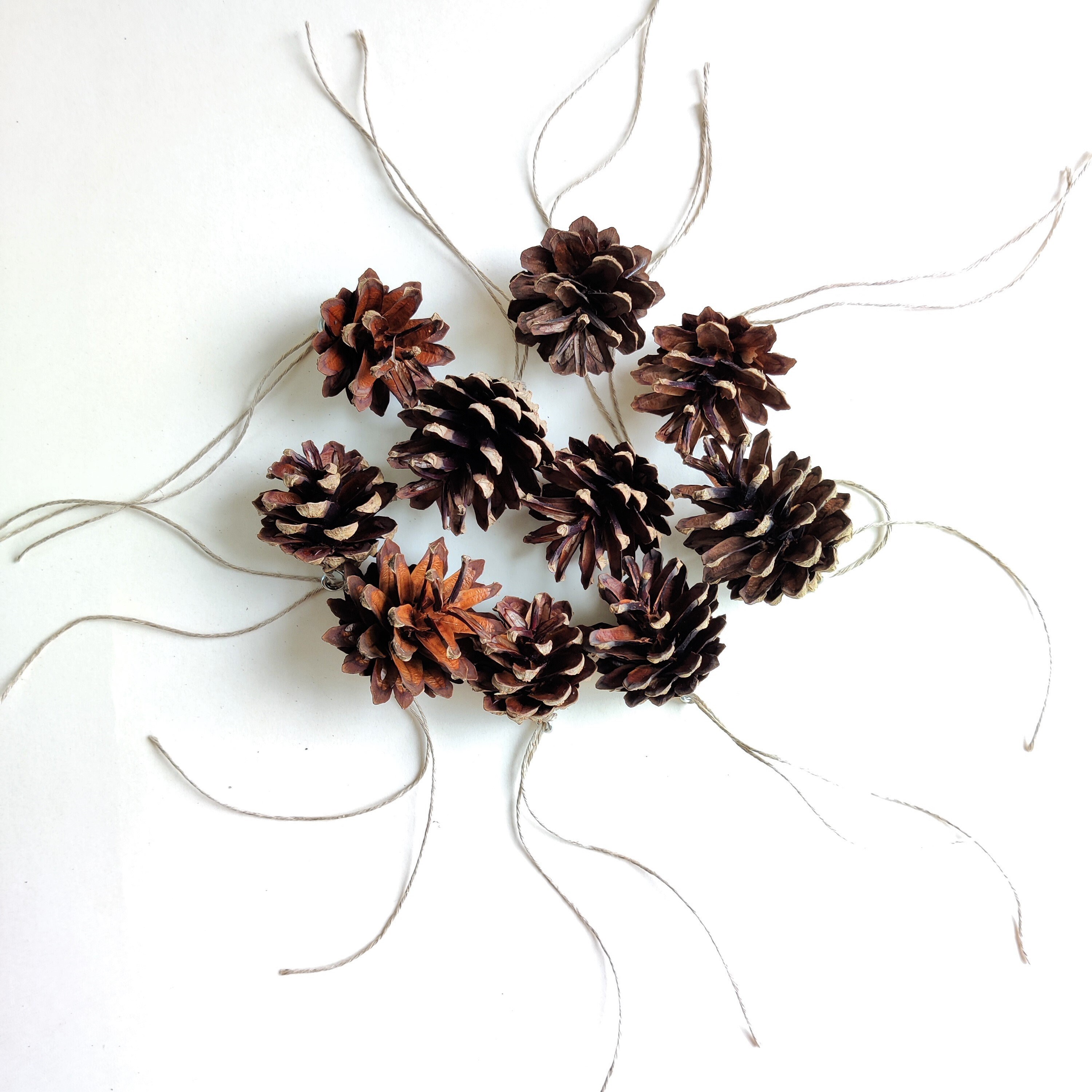 18 Pommes De Pin Décoratives Avec Ficelle Or – 3-5 Cm, Bois Naturel – Pour Sapin De Noël, Guirlandes, Décoration Hiver
