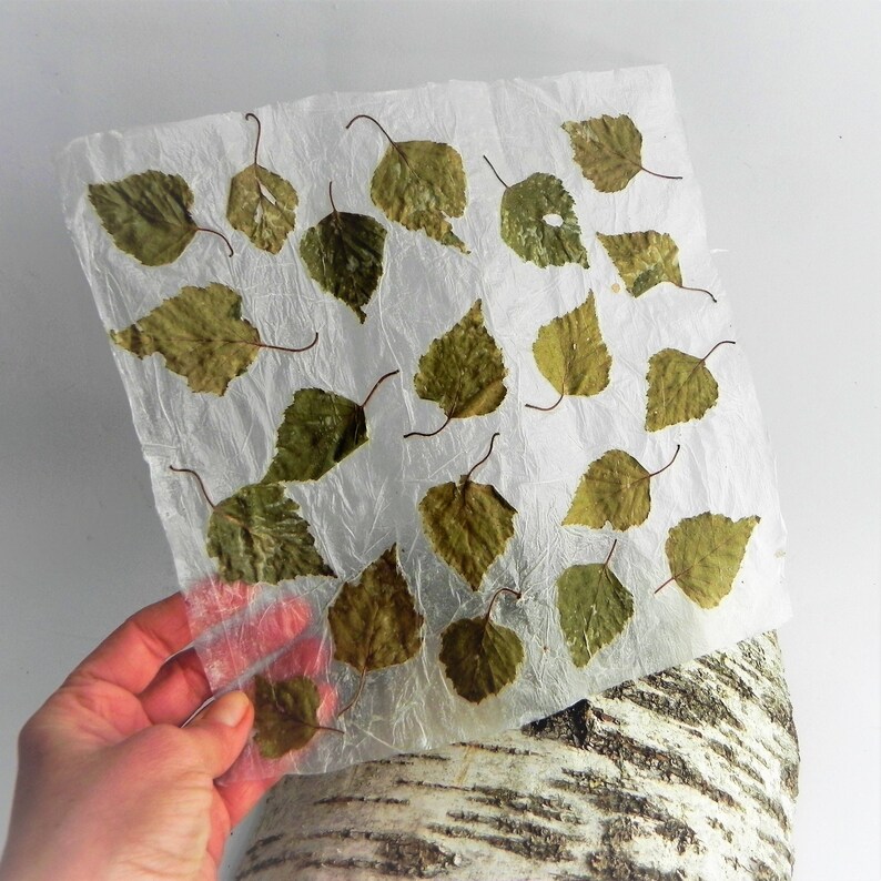 Handmade leaf paper sheets unique gift wrapping idea diy for Etsy