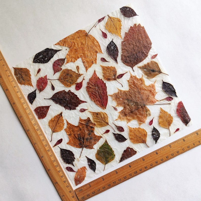 DIY craft kit for adults, papermaking kit with dried fall leaves, gift idea image 7