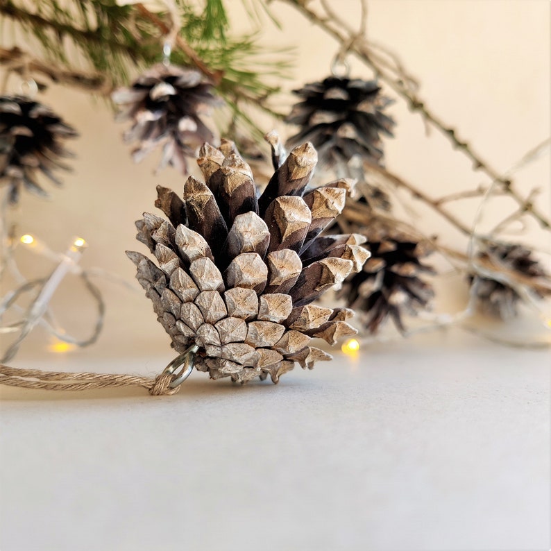May include: A close-up of a single, light brown pine cone with a silver finish. The pine cone is hanging from a string and is surrounded by other pine cones and a branch with green needles.