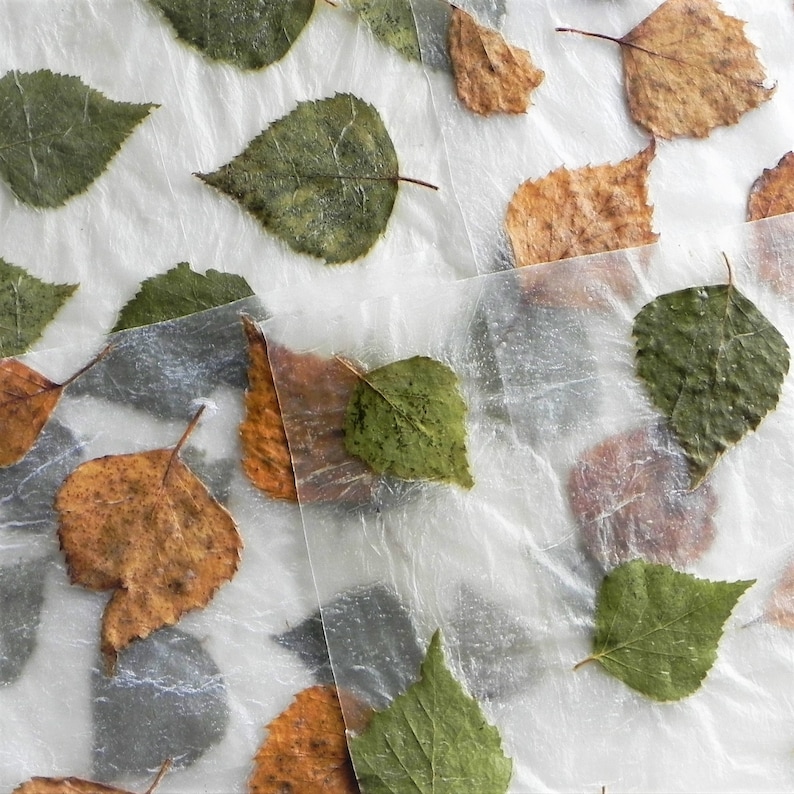 DIY craft kit learn to make paper with pressed leaves image 4