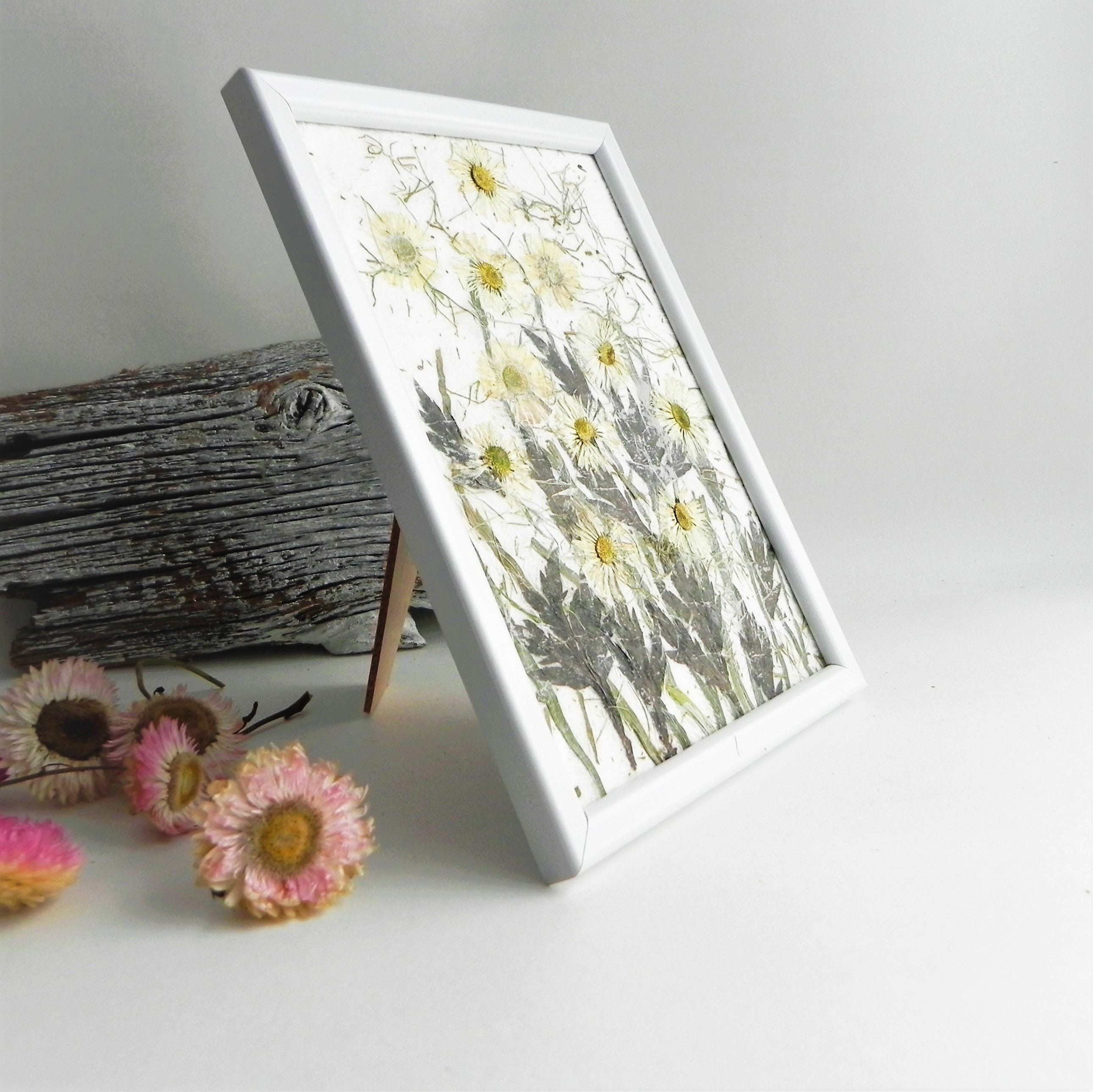 Daisy Dried Flower Framed Wall Art Nursery Hygge Home Decor Gift