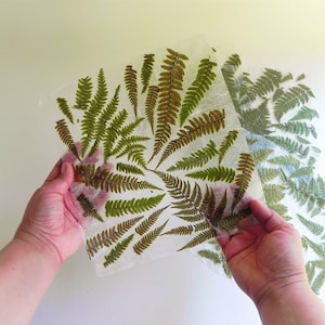 Handmade paper with real fern. Pressed fern decorative paper.