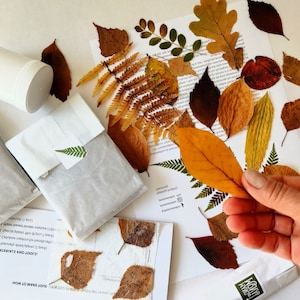 DIY craft kit for adults, papermaking kit with dried fall leaves, gift idea image 2