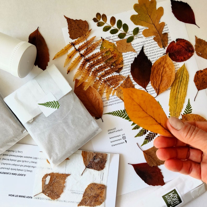 DIY craft kit for adults, papermaking kit with dried fall leaves, gift idea image 2