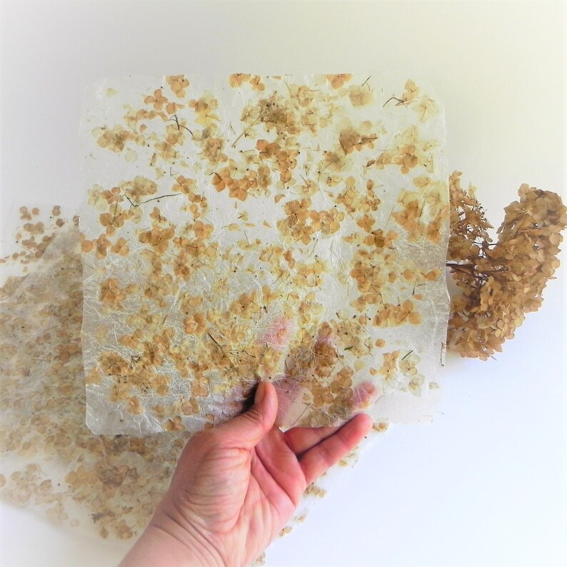 Flowers paper with dried hydrangea petals, Wedding paper decor, Home made paper, Natural material, Handmade paper gifts wrap, Eco paper 4 sheets