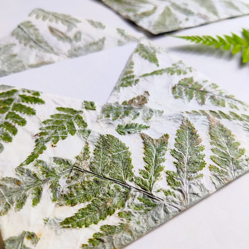 Square Invitation Envelope from Handmade Paper with Real Fern 5 envelopes