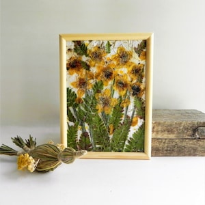 Veri fiori gialli secchi, regalo incorniciato
