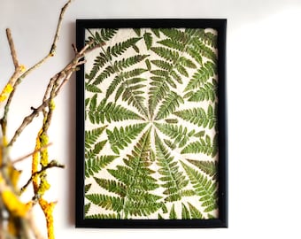 Cuadro decorativo de helecho prensado enmarcado, ideal para amantes de la naturaleza.
