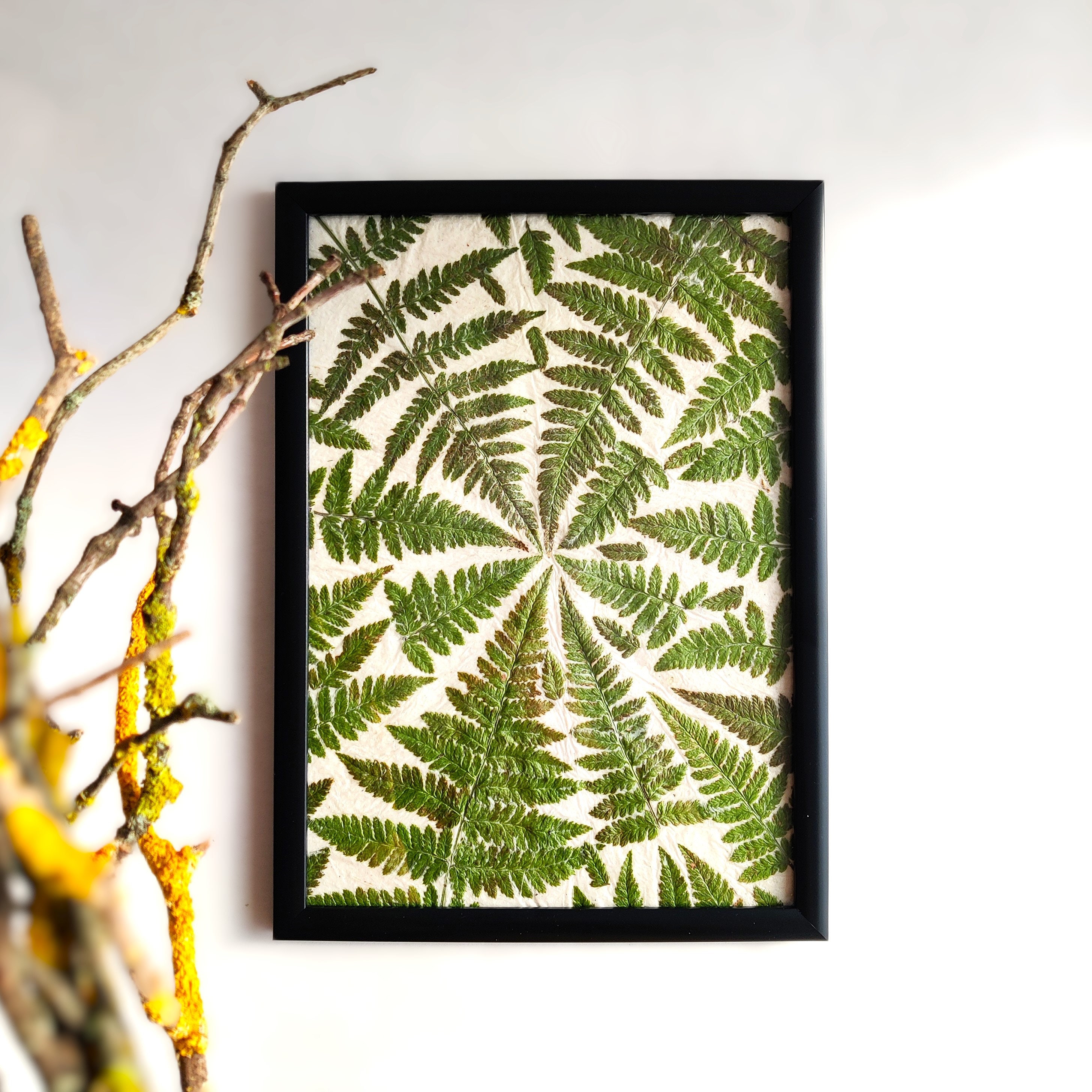 Getrocknete farn kunst - Etsy.de