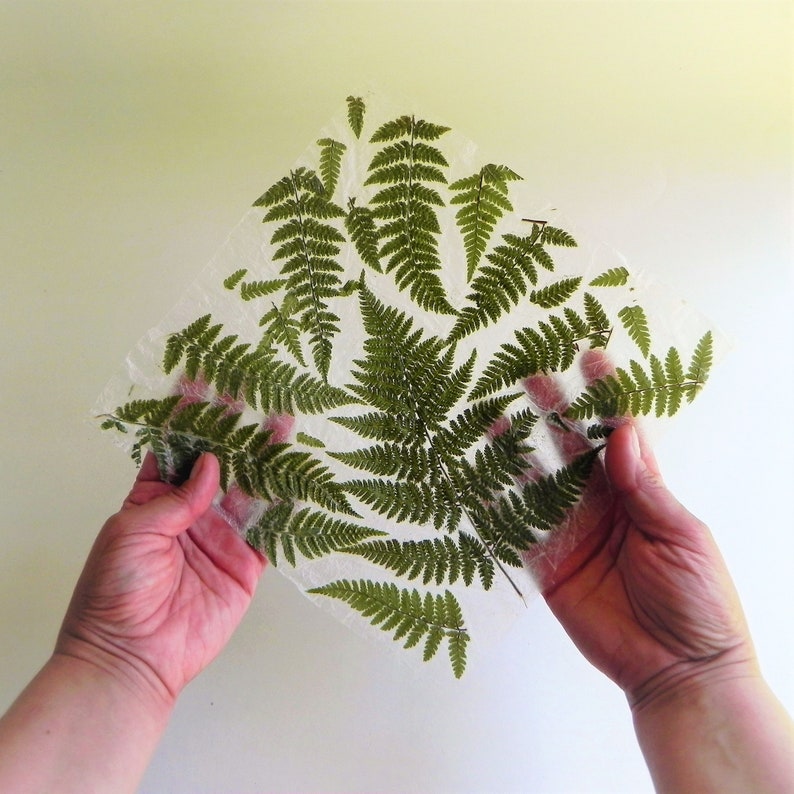 Handmade paper with real fern. Pressed fern decorative paper.
