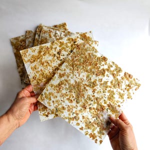 10 Floral Petal Handmade Paper Natural Color