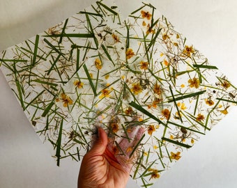 Handmade paper set of 2 sheets, Botanical pages with real wildflower petals and grass