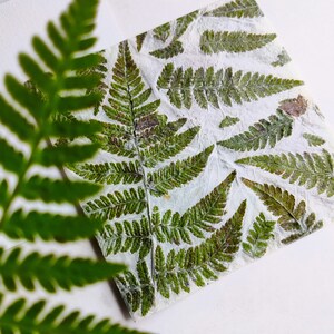 Square Invitation Envelope from Handmade Paper with Real Fern image 7