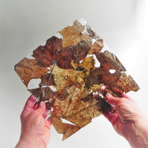 Carta unica fatta a mano con vera foglia d'acero, carta rustica autunnale in stile vintage per diari spazzatura, album, collage, lavori di carta