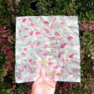 Handgjort papper, naturbladspapper, botaniskt presentpapper