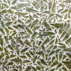 set of 10 handmade paper with real fern leaves image 10