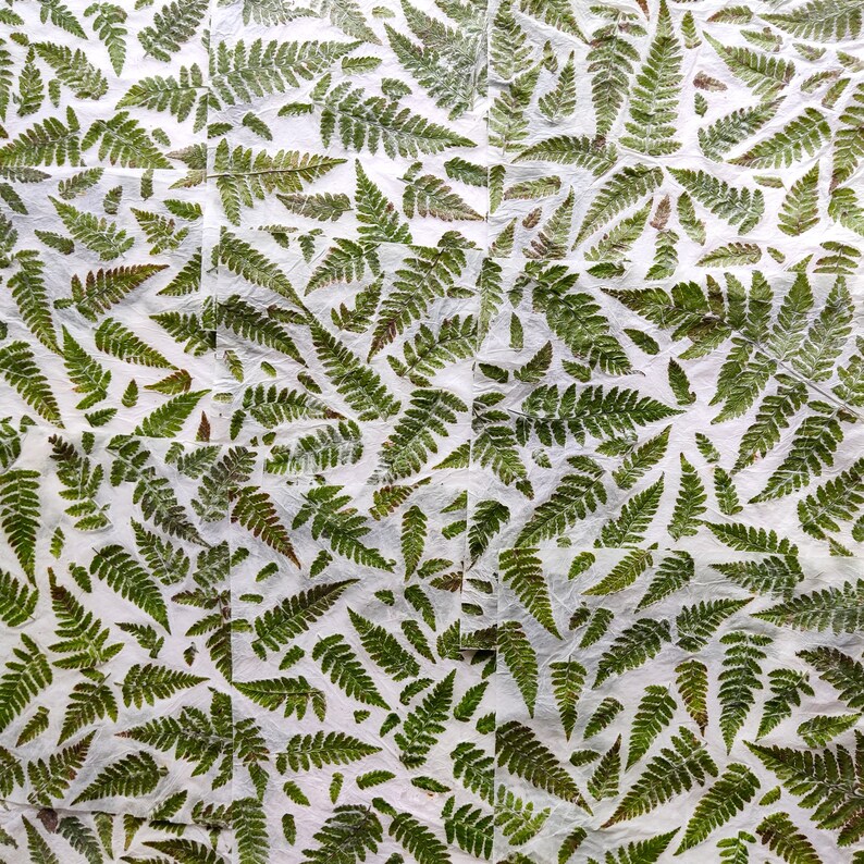set of 10 handmade paper with real fern leaves image 10