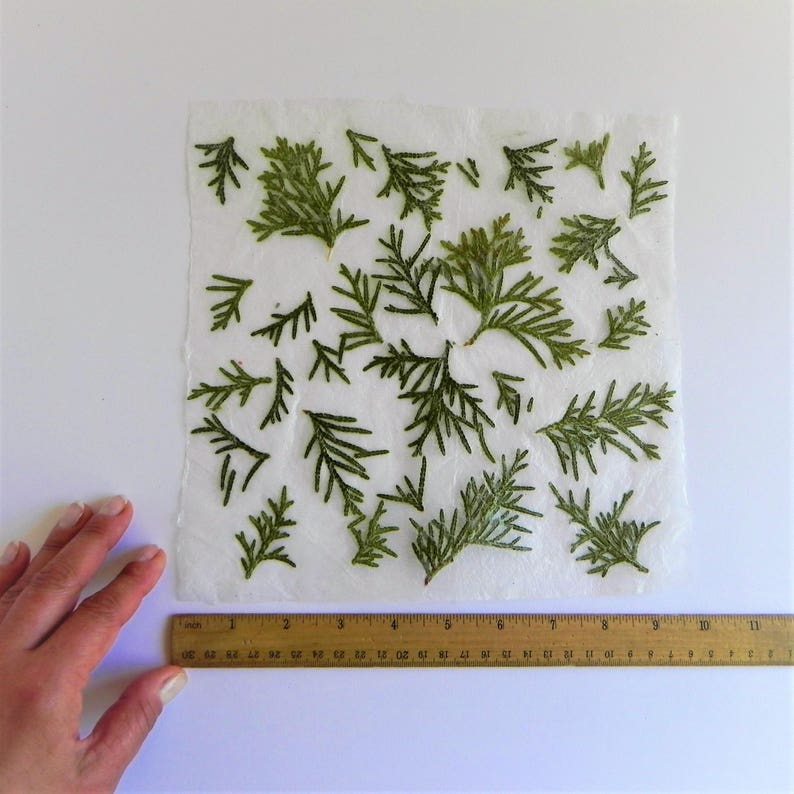Green Tree Handmade Paper Nature Paper Sheets Christmas Gift Etsy