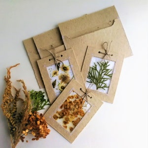 Cartes de vœux faites à la main ensemble de 3 avec des fleurs et des plantes séchées Cartes-cadeaux toutes occasions Cartes de salutation image 2