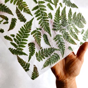 set of 10 handmade paper with real fern leaves image 8