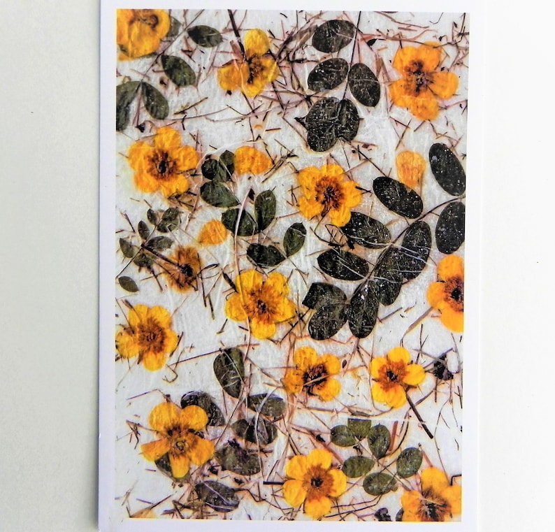 Floral Postcards, Botanical Greeting Card Set With Envelopes - Etsy