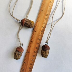 Acorn ornaments set of 5. Woodland decorations. Miniature ornaments.