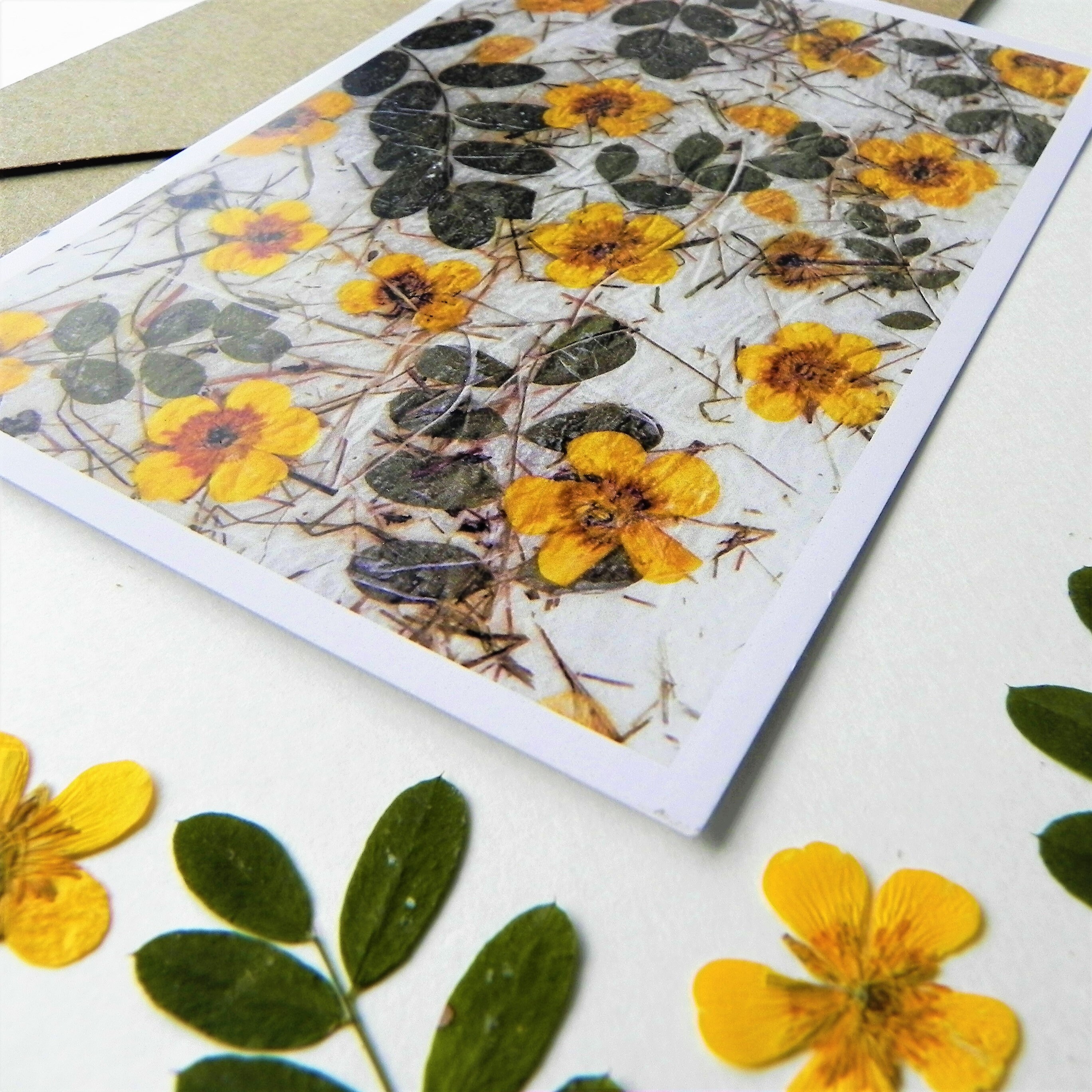 Floral postcards botanical greeting card set with envelopes | Etsy
