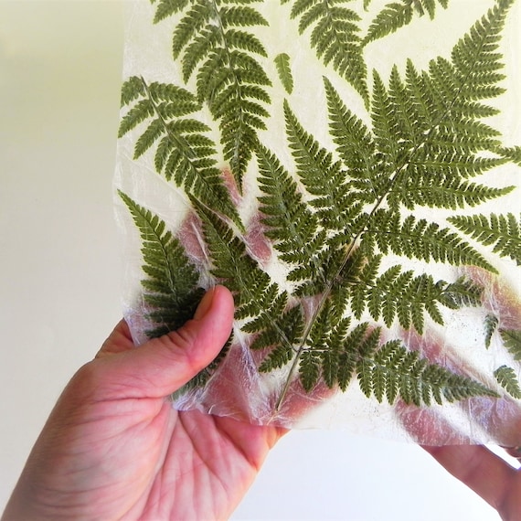 Handmade fern paper - decorative plant papers - leaves greenery modern gift wrap paper