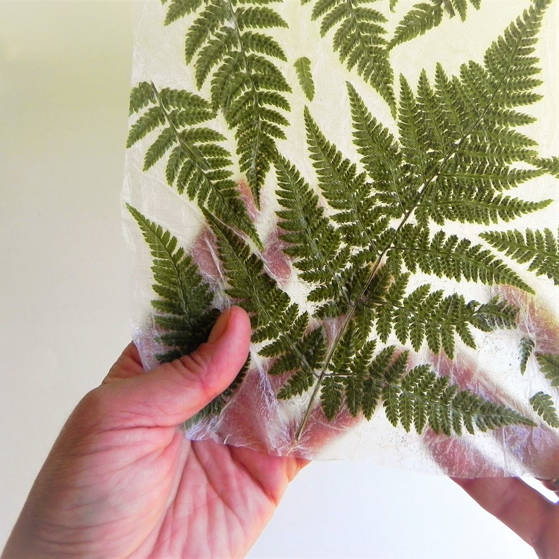 Handmade paper with real fern. Pressed fern decorative paper.