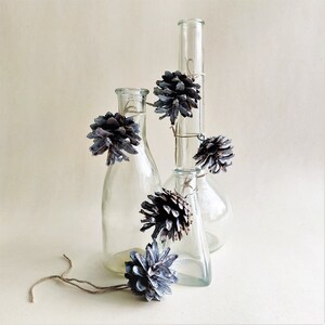 May include: Three clear glass bottles of varying shapes and sizes decorated with dried pine cones. The bottles are arranged on a light beige surface.