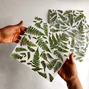 Handmade paper with real fern leaves.