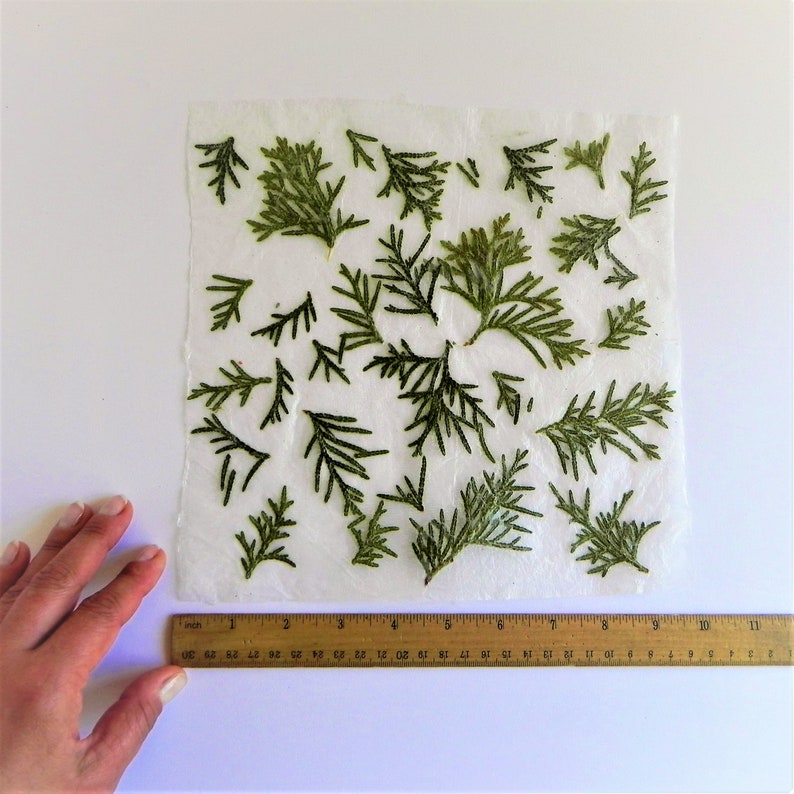 Homemade decorative paper, Botanical paper with real plants, Handcraft nature paper, Eco friendly packing wrapping paper image 9