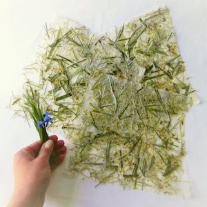 Carta vegetale fatta in casa con erba verde testurizzata da imballaggio, carta da imballaggio, carta riciclata per decorazioni da regalo