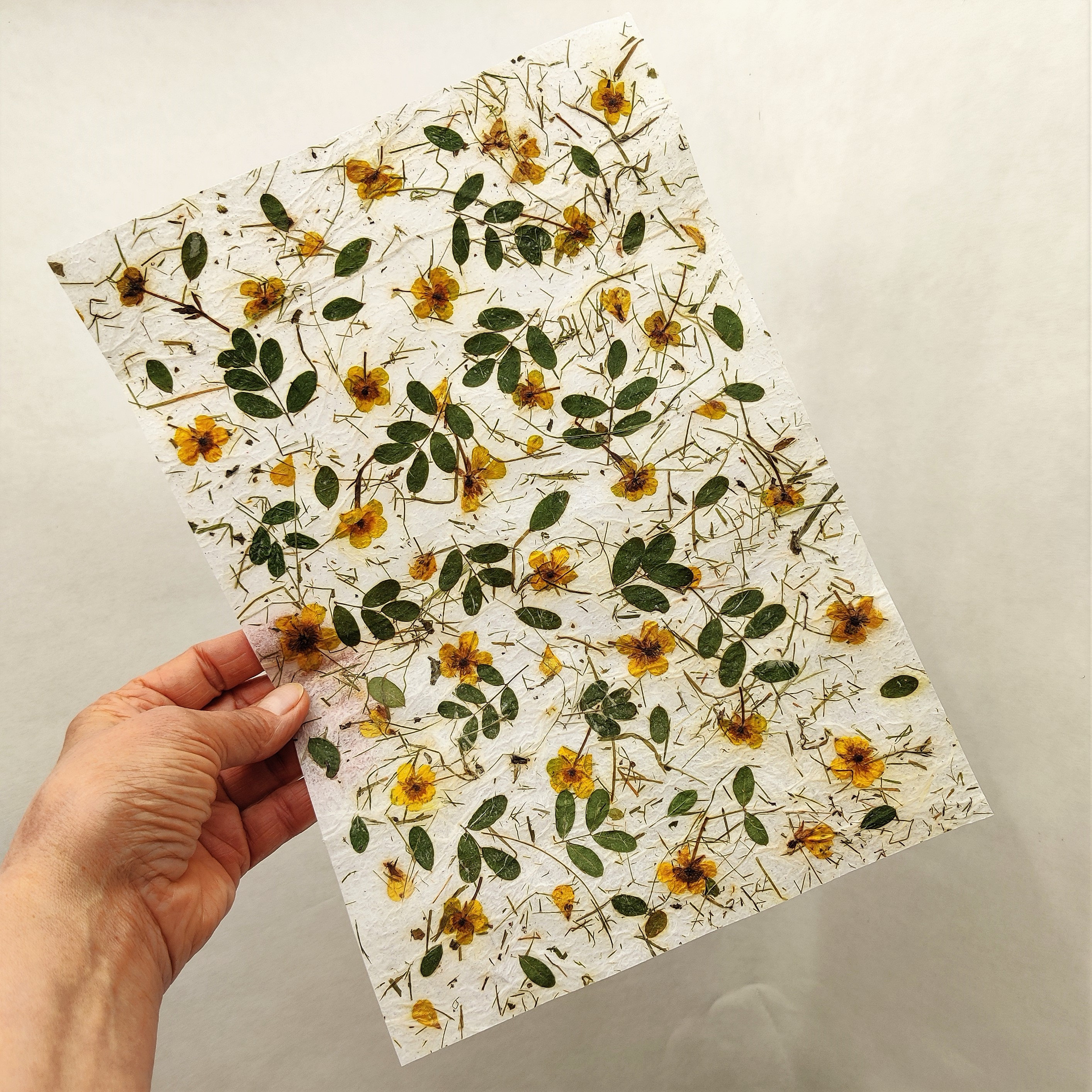 Focenat Kit Fabbricazione Carta, Kit Produzione Carta, Creazione di Carta per Artigianato Fai Da Te, Cornice in Legno con Fiori Secchi, Polpa Disidratata, Cucchiaio, Frusta, Glitter, Colla di Carta