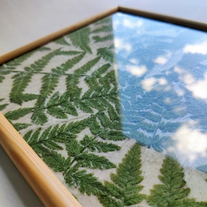 Pressed fern framed wall art decor Nature lover gift image 8