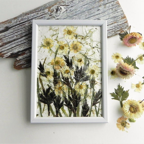 Daisy Dried Flower Framed Wall Art Nursery Hygge Home Decor Gift