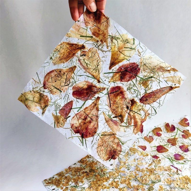 Pressed Flower Petals Handmade Paper 3 Sheets for Gift Art Etsy