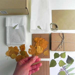 DIY craft kit learn to make paper with pressed leaves image 6
