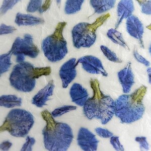 Blue handmade paper with iris flowers petals romantic floral DIY hand made paper 4 sheets