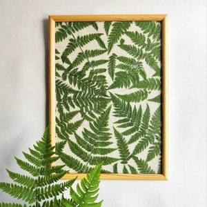 Pressed fern framed wall art decor Nature lover gift image 9