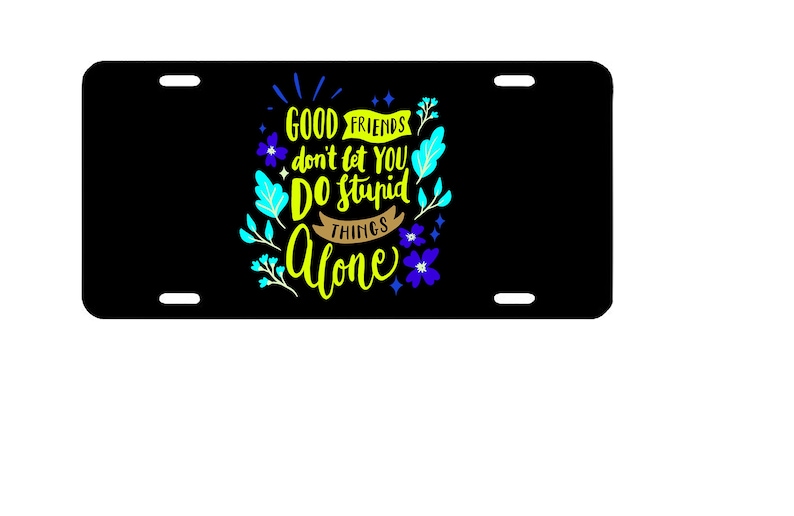 Good Friends Don/'t Let You Do Stupid Things Alone Quote Novelty Vanity Metal License Plate 6 x 12