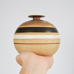 Può includere: Un vaso rotondo in ceramica macchiettato con strisce marroni, nere, bianche e rosse. Il vaso è tenuto in una mano.