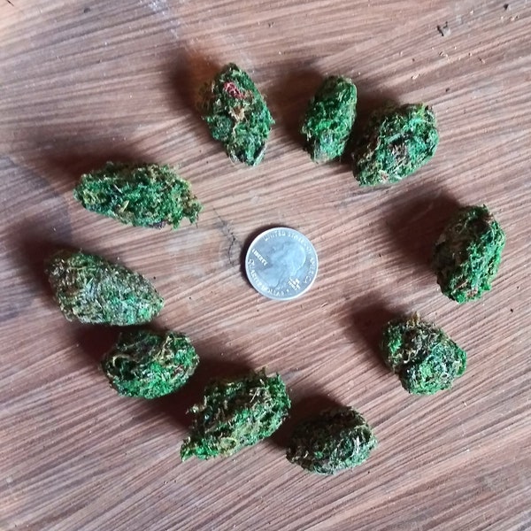 10 Minis - 10 pack of Fake Cannabis Nugs