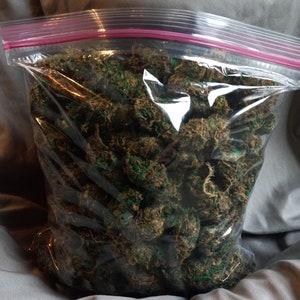 150 Cannabis Nug Replicas - Full gallon bag- Lovebuds Minis