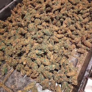 2000 Fake Nugs Super Prop Pack Lovebuds Replica Cannabis Nugs FAKE BUDS