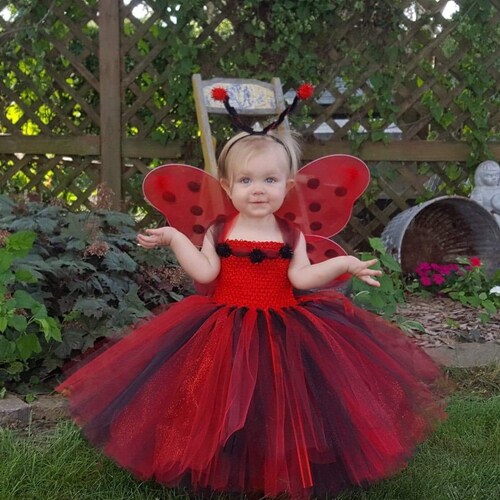 ladybug tutu dress
