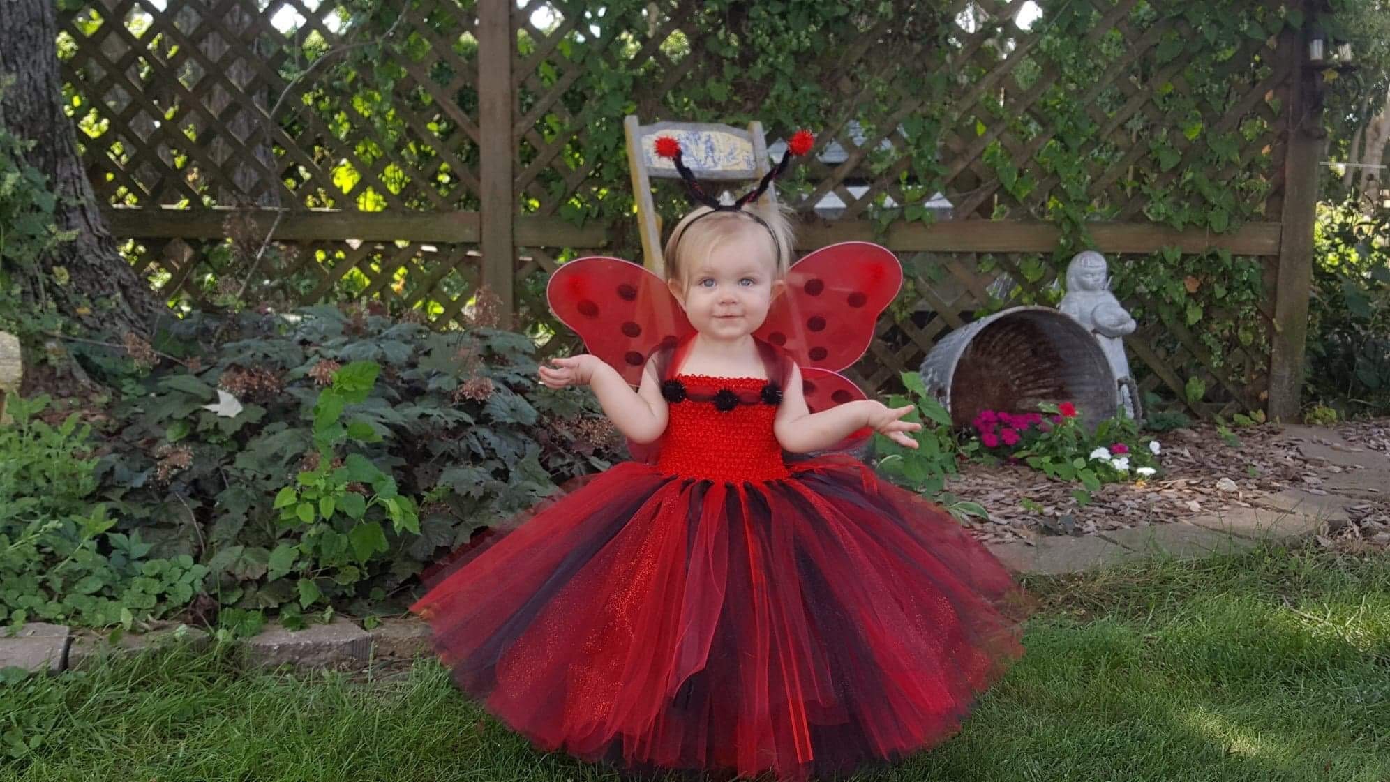 Baby Girl's Ladybug Dress Costume - Up to 24 Months