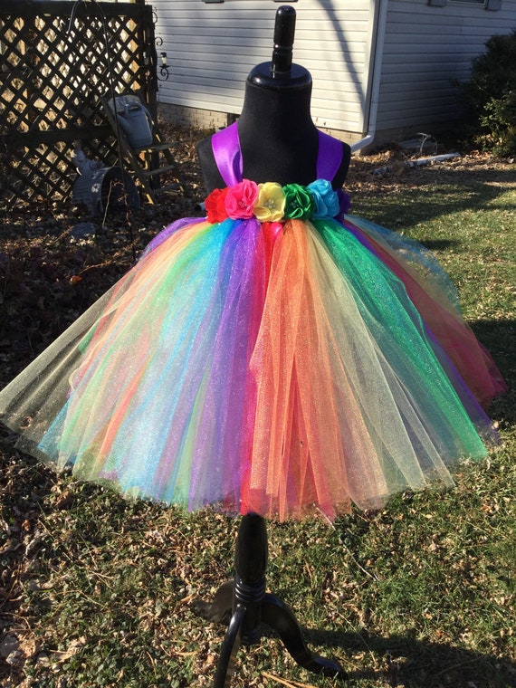 Robe Princesse Fille Tulle Arc en Ciel